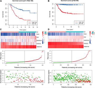 Development and Validation of a Five-RNA–Based Signature and Identification of Candidate Drugs for Neuroblastoma